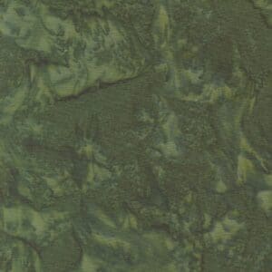 Aerial view showing dense forest with winding rivers.