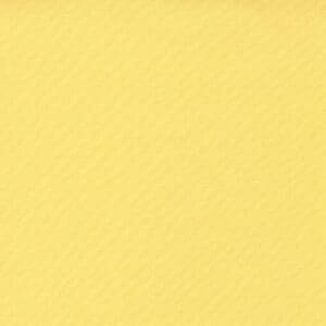 Plain yellow textured background.