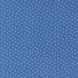 Blue fabric with a small white polka dot pattern.