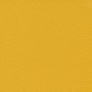 Solid mustard yellow textured background.