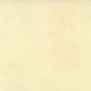 A plain beige textured background.