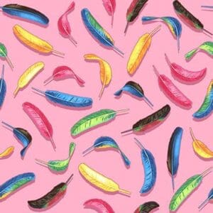 Colorful feathers scattered on a pink background.