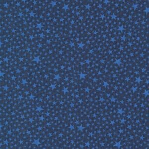 Blue star pattern on a dark blue background.