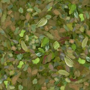 Abstract green and brown textured brushstrokes.