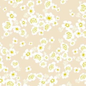 White and yellow flowers on beige background.