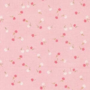 Kindness, Deb Strain, Cotton Fabric, Half Yard, 56154 16